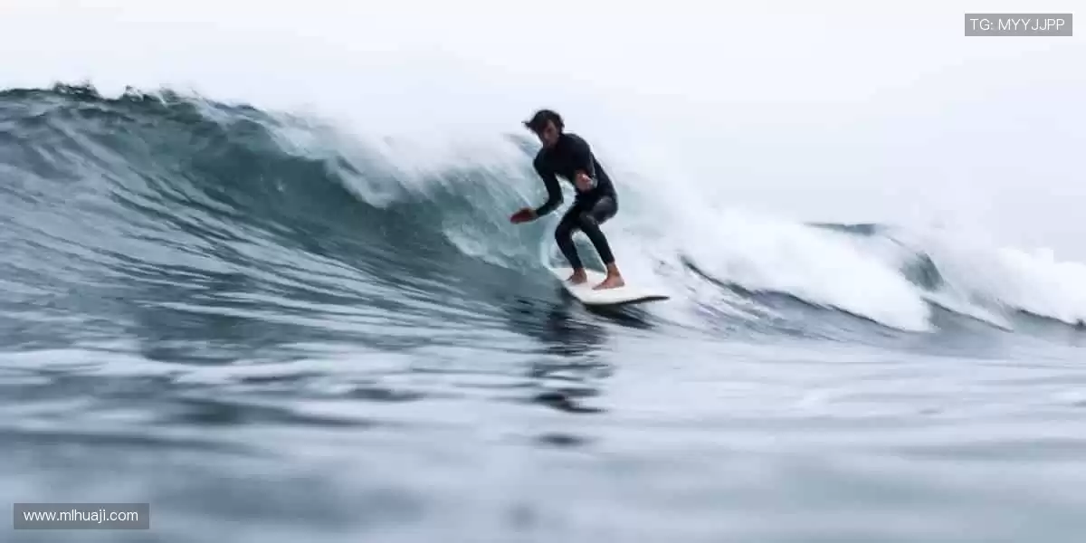 高清直播,实时互动,身临其境!🎯