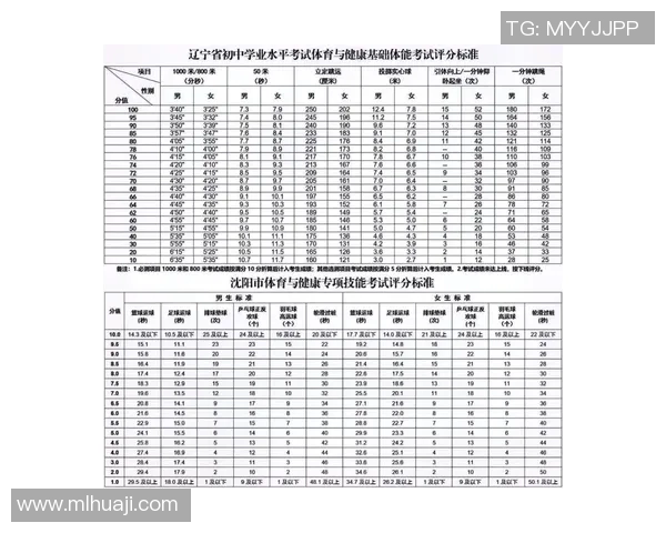 球员评分系统大比拼：评分标准全解析